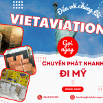 DỊCH VỤ GỬI HÀNG CHUYỂN PHÁT NHANH ĐI MỸ CHUYÊN NGHIỆP
