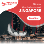 CHUYỂN PHÁT NHANH ĐI SINGAPORE GIÁ RẺ