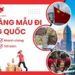 Gửi Hàng Mẫu Đi Trung Quốc Từ Đà Nẵng Cùng VietAviation