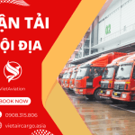 CHUYỂN PHÁT NHANH NỘI ĐỊA CHỈ TRONG 24H
