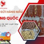 Tối Ưu Chi Phí Gửi Hàng Đi Trung Quốc Cho Doanh Nghiệp Nhỏ