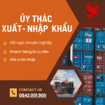 DỊCH VỤ XUẤT NHẬP KHẨU ỦY THÁC VIETAVIATION