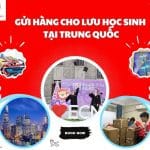 GỬI HÀNG CHO LƯU HỌC SINH TẠI TRUNG QUỐC CÙNG VIETAVIATION