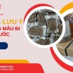 NHỮNG LƯU Ý KHI GỬI HÀNG MẪU ĐI TRUNG QUỐC