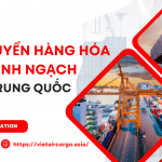 ĐƠN VỊ VẬN CHUYỂN CHÍNH NGẠCH ĐI TRUNG QUỐC UY TÍN