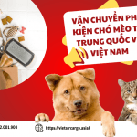 VẬN CHUYỂN PHỤ KIỆN CHÓ MÈO TỪ TRUNG QUỐC VỀ VIỆT NAM