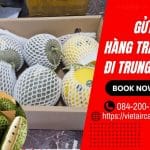 GỬI TRÁI CÂY ĐI TRUNG QUỐC GIÁ TIẾT KIỆM VIETAVIATION
