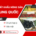 ỦY THÁC XUẤT KHẨU NÔNG SẢN ĐI TRUNG QUỐC