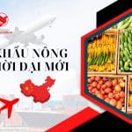 Sức hấp dẫn của thị trường Trung Quốc: xuất khẩu nông sản trong thời đại mới
