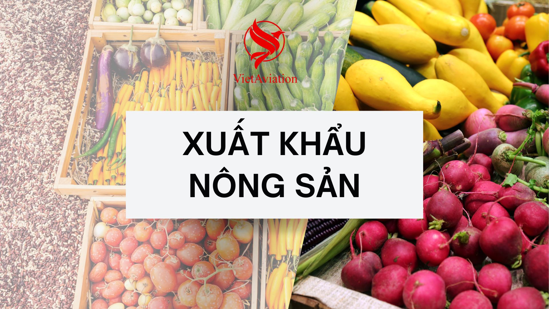 Xuất khẩu nông sản Việt Nam đi Trung Quốc