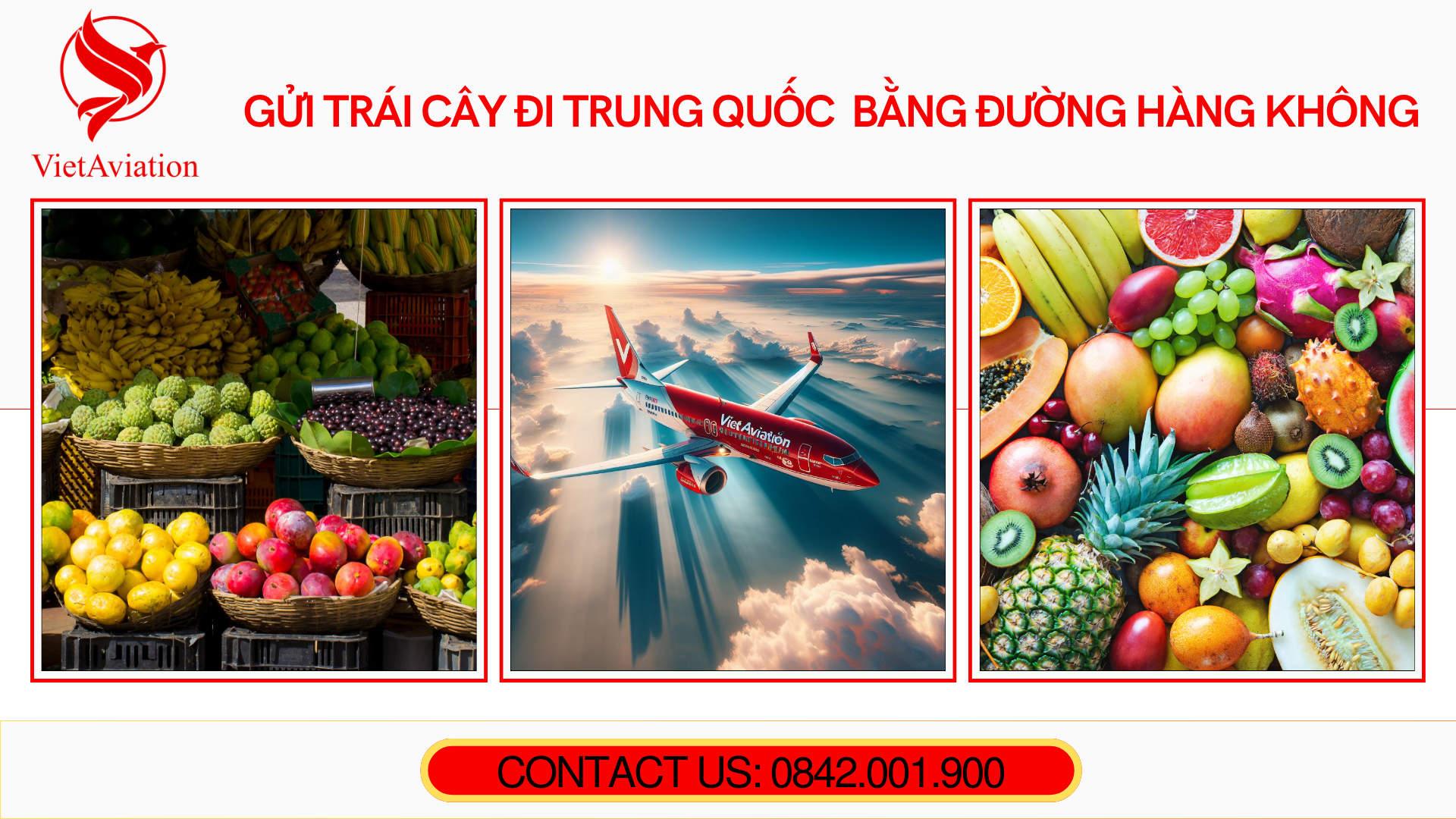 Gửi trái cây đi Trung Quốc bằng đường hàng không
