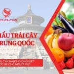 Xuất khẩu trái cây sang Trung Quốc: thị trường tiêu thụ tiềm năng