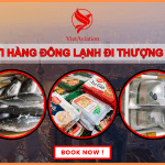 Gửi hàng đông lạnh đi Thượng Hải