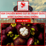 Vận chuyển măng cụt đi Trung Quốc bằng đường hàng không