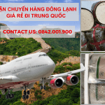 Gửi hàng đông lạnh giá rẻ đi Trung Quốc