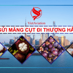 Gửi măng cụt đi Thượng Hải