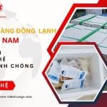 Vận chuyển hàng đông lạnh Bắc – Nam uy tín