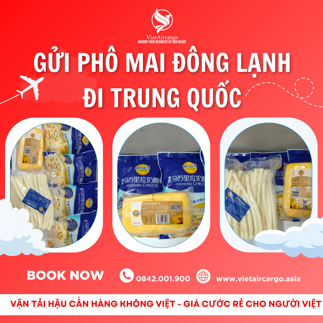 Gửi phô mai đông lạnh đi Trung Quốc