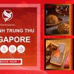 Gửi bánh trung thu đi Singapore