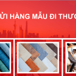 Gửi hàng mẫu đi Thượng Hải