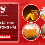 Gửi mật ong đi Thượng Hải