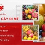 Gửi trái cây đi Mỹ