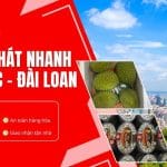 Chuyển phát nhanh hàng đi Đài Bắc