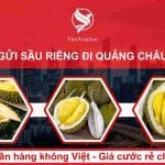 Gửi sầu riêng đi Quảng Châu giá rẻ nhất