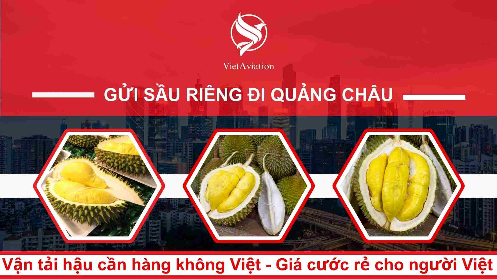 Gửi sầu riêng đi Quảng Châu