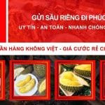 Gửi sầu riêng đi Phúc Kiến uy tín giá rẻ