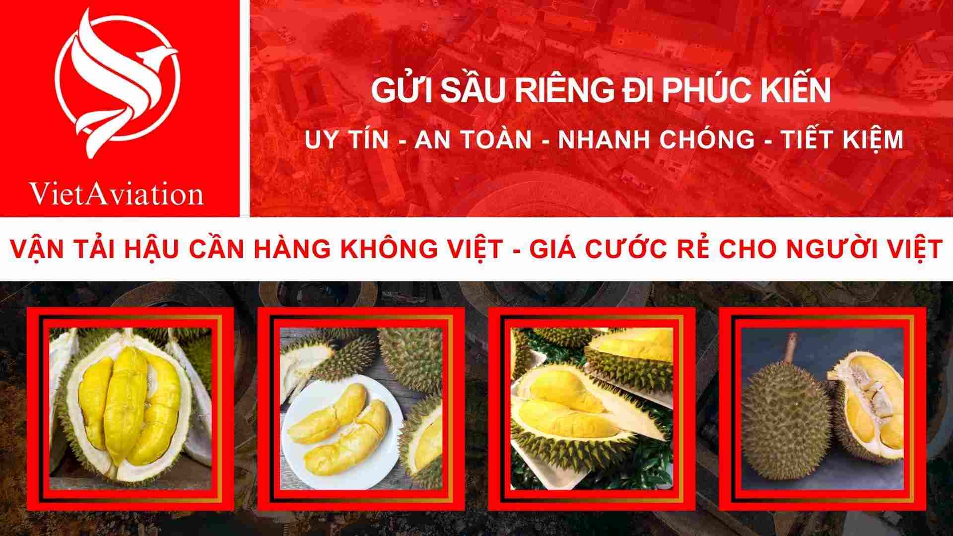 Gửi sầu riêng đi Phúc Kiến