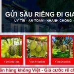 Gửi hàng chuyển phát nhanh sầu riêng đi Giang Tô giá rẻ