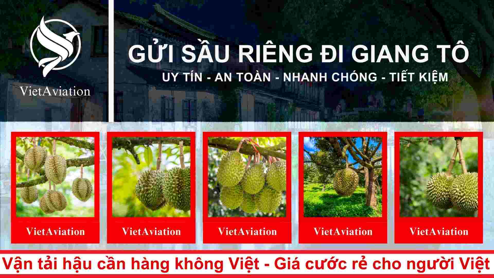 Gửi sầu riêng đi Giang Tô