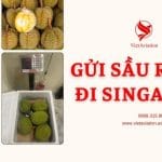 Gửi sầu riêng đi Singapore – Vua các loại trái cây