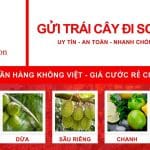 Gửi hàng chuyển phát nhanh trái cây đi Sơn Đông