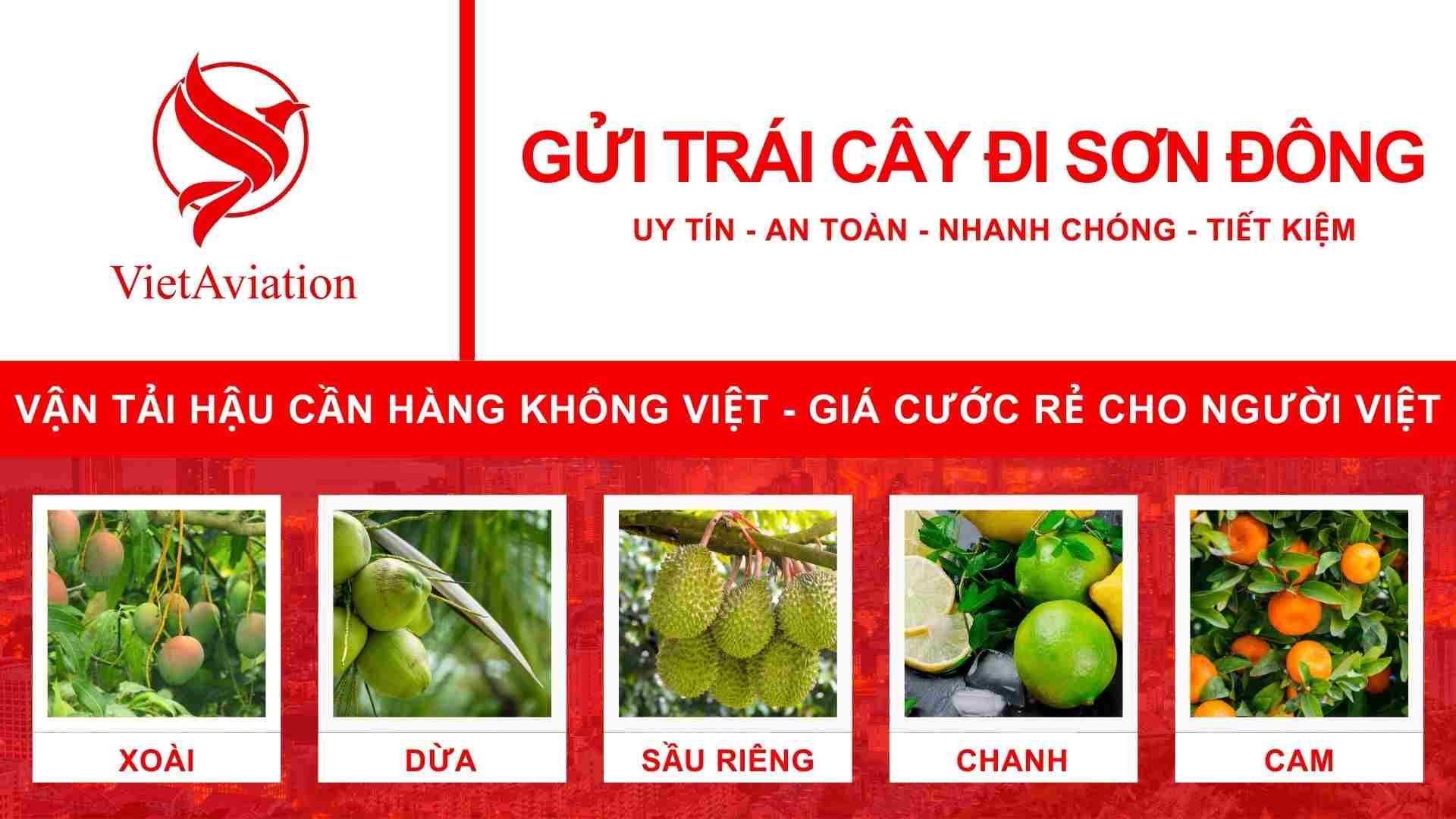 Gửi trái cây đi Sơn Đông