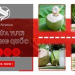 Gửi hàng chuyển phát nhanh dừa tươi đi Trung Quốc giá rẻ
