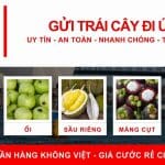 Gửi hàng chuyển phát nhanh trái cây đi Úc