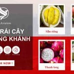 Gửi hàng chuyển phát nhanh trái cây đi Trùng Khánh