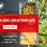 Gửi hàng chuyển phát nhanh sầu riêng đông lạnh đi Trung Quốc