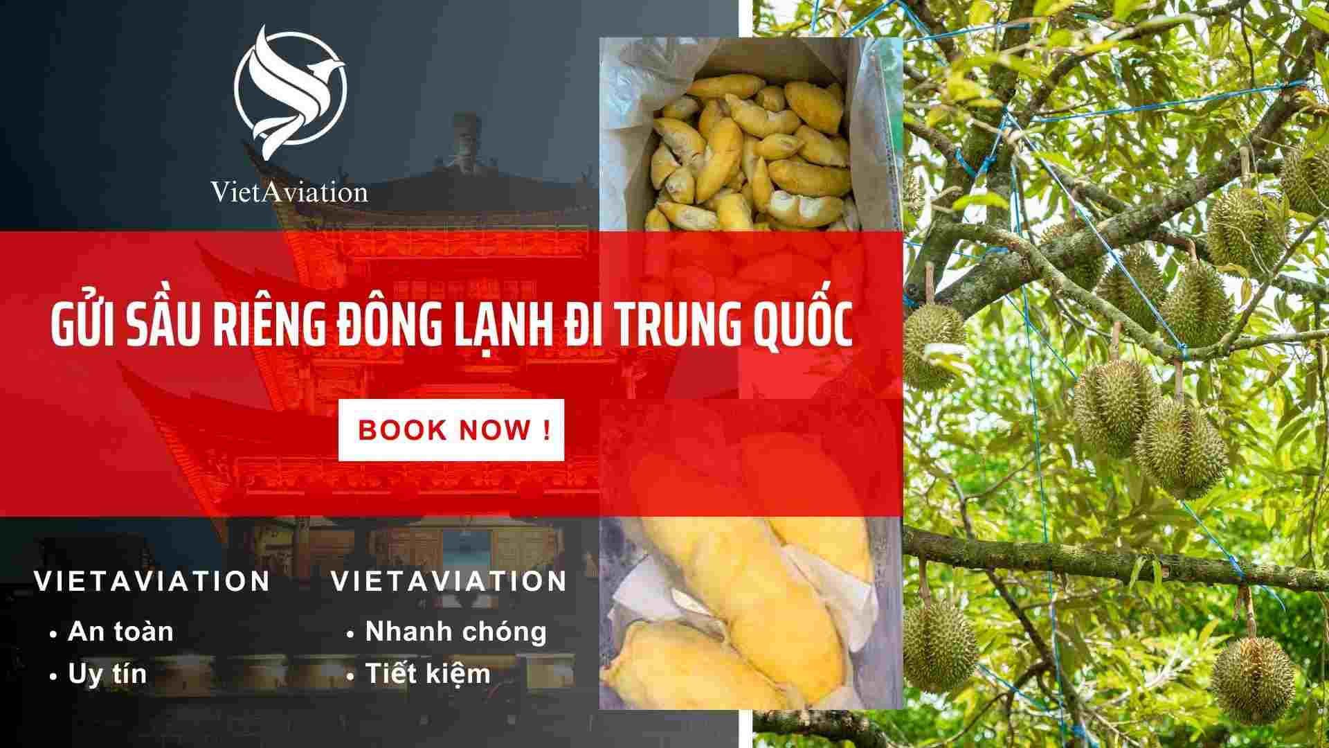 Gửi sầu riêng đông lạnh đi trung Quốc