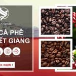 Gửi cà phê đi Chiết Giang