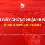 Tìm hiểu giấy chứng nhận hun trùng Fumigation Certificate
