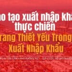 Đào tạo xuất nhập khẩu thực chiến trong ngành xuất nhập khẩu