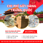 Chi Phí Gửi Hàng Đi Trung Quốc: Bóc Trần Bí Mật Tiết Kiệm & Né Phụ Phí Khó Đỡ!
