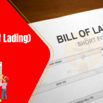 Bill of Lading là gì? Định Nghĩa, Vai Trò Và Cách Sử Dụng BL Trong Xuất Nhập Khẩu