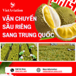 Sầu Riêng Đông Lạnh Gửi Đi Trung Quốc