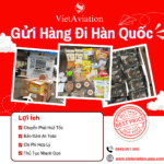 Gửi Hàng Đi Hàn Quốc Nhanh Chóng Tại Đà Nẵng – VietAviation