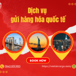 VẬN CHUYỂN HÀNG QUỐC TẾ NĂM 2025