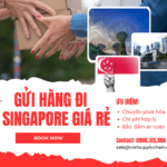 GỬI HÀNG CHUYỂN PHÁT NHANH ĐI SINGAPORE GIÁ RẺ